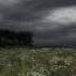 Au Volant By Elsa Emilie Slowed With Rain