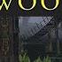 ESO BLACKWOOD NEW Music OST Part 5 Memories Of The Marsh Elder Scrolls Online Soundtrack