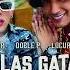 SI LA GATA SE AMOTINAN Peipper Doble P Locura Mix EsElPeipper LOCURAMIX Viralhog