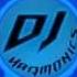 DJ Harmonics Shining Down BadDavidKi Remix