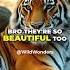 Giant Siberian Tigers Majestic Beasts Of The Frozen Wild Siberiantiger Tigers Wildlife Jreclips