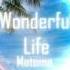 Wonderful Life Matoma Angry Birds Movie