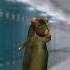 Rat Dance Meme Ratdance Rat Dance Ishowspeed School Fyp Foryou Foryoupage Shorts Ytshorts