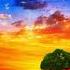 Yahshi Korardim Hamdam Sobirov Lola Hamdam Sobirov Holimga Qara Gulinur Doydim Ohir Yulduz U Yurak