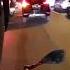 PRANK OJOL AUTO CROT