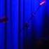 Mark Lanegan Phantasmagoria Blues