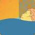 Elder Island We Are The Water Animated Video