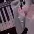 Modern Martina KS RussianDance Korg Pa 900 Remastering DLMusic