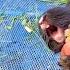 Little Baby Bunny Rabbit Screaming It S So Cute Bunny Crying