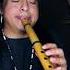 WAYRAPA MUSPUYNIN Instrumental Music Playing Performing With Bamboo Flute Shorts