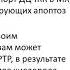 Потенциал применения левокарнитина в кардиологии Профессор М Г Глезер