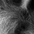 God Fury Anno Domini Beats