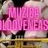 MUZICA MOLDOVENEASCA LA TROMPETA Muzicamoldoveneasca Music