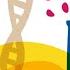 Immunologia Cosa C E Di Nuovo Mario Clerici