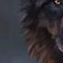 Epic Fantasy Music The Wolf And The Moon BrunuhVille