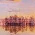 Levitated Sessions Episode 0142