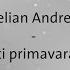 Aurelian Andreescu Tu Esti Primavara Mea Versuri Lyrics Karaoke