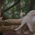 Hot Shots 2 Chicken Arrow