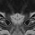 Crazy Frog Axel F Official Video In MGM Low 2