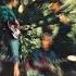 Creedence Clearwater Revival Proud Mary Official Audio