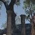 ESO BLACKWOOD NEW Music OST Part 3 A White Stallion Rampant Elder Scrolls Online Soundtrack