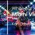 Karl Casey White Bat Audio Miami Vice Nightscapes Free Synthwave Music