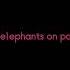 Pink Elephants Meme Lyrics