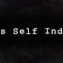 Big Poppa Instrumental Mindless Self Indulgence Dark Matter Split