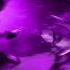 Future Lil Uzi Vert Bankroll Slowed
