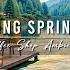 Cozy Spring Porch Ambience With Jazz Relaxing Music For Studying Smooth Jazz Instrumental Music