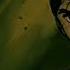 Yu Yu Hakusho Ending 1 Homework Ga Owaranai