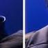 Drake 21 Savage Talk Love And Adult Films In Deepfake Howard Stern Interview Billboard News