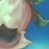 Maya The Bee Catalan Opening Televised Video