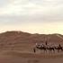 Sandy World Desert Sounds A Relaxing And Satisfying Video