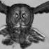 Foreign Air Free Animal Lyrics