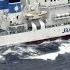 U S Marines Missing After Two Military Aircrafts Crash Off Japan Coast