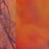 ScHoolboy Q That Part Ft Kanye West 852Hz Harmony With Universe Self