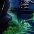 Lego Ninjago Season 5 Ghost Whip Extended