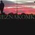IAM NEZNAKOMKA