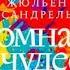 Комната чудес Жюльен Сандрель аудиокнига