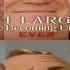 Mr Incredible Becoming Uncanny All Stars VS Mr Incredible Becoming Canny All Stars
