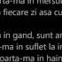 Alina Eremia Poarta Ma Versuri