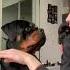 I Pretend She Bit Me Her Reaction Was Priceless Rottweiler Apologized In Her Own Way Shorts