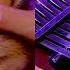 Melody Of The Night The Piano Forest Kalimba Cover