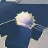 Whos Gonna Win Gojo Vs Sakuna Bacon