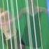 Musettas Waltz Vanessa Sundstrup Harp
