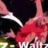 Slow Waltz Ballroom Dance Dancesport Music For You Waltz For The Moon
