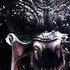 HALF BREED YAUTJA DESCENDANT HUNTER THAT DEFIED THE CODE OF HONOR SCAVAGE HUNTER STORY EXPLAINED