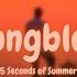 5 Seconds Of Summer Youngblood Slowed Reverb