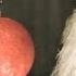Galileo S Famous Gravity Experiment Brian Cox BBC Two